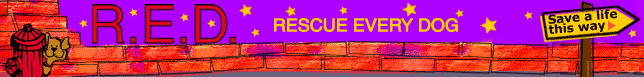 R.E.D. Rescue Every Dog