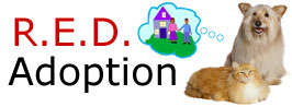 R.E.D. Adoption