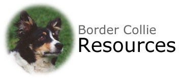 Border Collie Resources