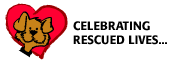 Celebrating Rescued Lives