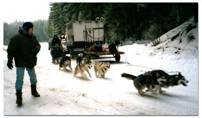 Huskies pulling dog sled