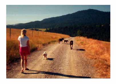 Walking with the gang