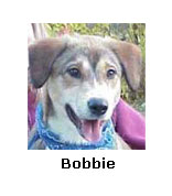 Bobbie