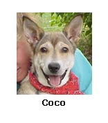 Coco