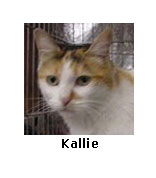 Kallie