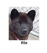 Rio