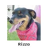 Rizzo