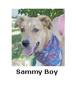 Sammie Boy