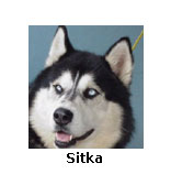 Sitka