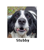 Stubby