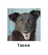 Tanna