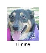 Timmy