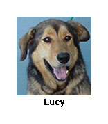 Lucy