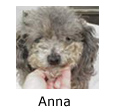 In Memory of Anna