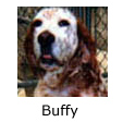 In Memory of Buffy