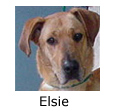 In Memory of Elsie