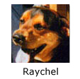 In Memory of Raychel