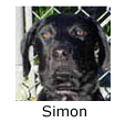 In Memory of Simon